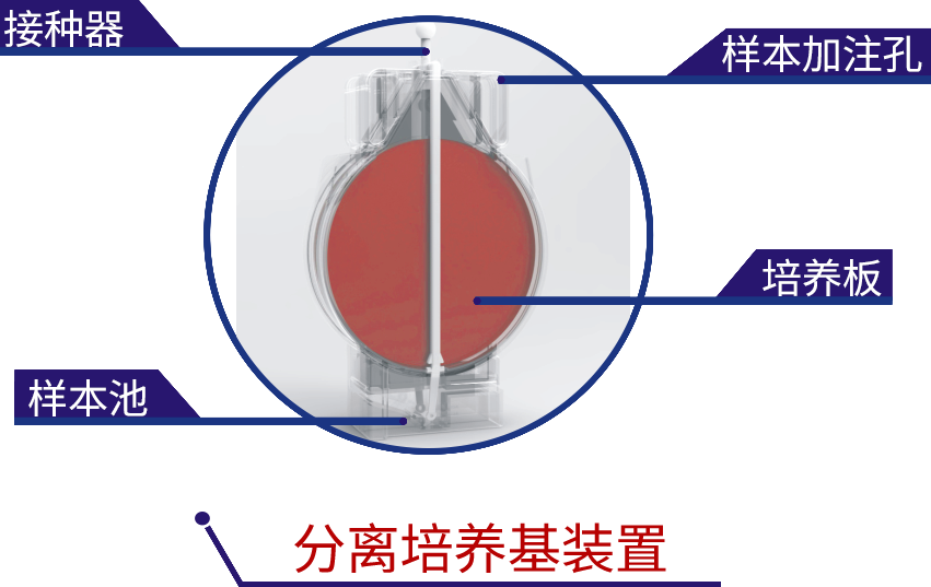 圖形1.png 圖形1.png